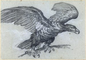 Un águila, 1811 de Pierre Paul Prudhon